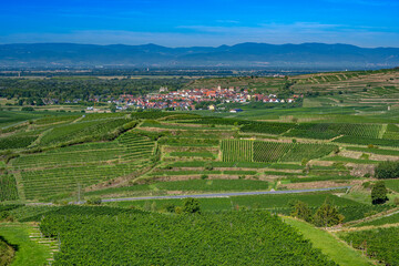 Fototapeta na wymiar View from the Mondhalde Pavilion viewpoint on Burkheim (Vogtsburg), Rhine plain, Vosges. Kaiserstuhl, Baden Wuerttemberg, Germany, Europe