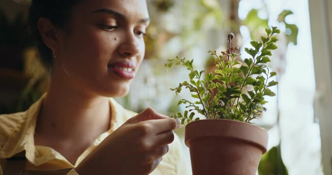 Small business, entrepreneur and professions concept. Botanist taking care of plant in a pot while in flower shop. Smiling successful female plant store owner standing amongst her plants in pots