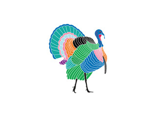 single turkey on white background Farm animals collection and turkey breeds. Vector illustration. Isolated turkey
