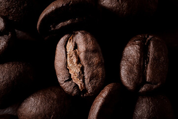 macro photography of coffee beans