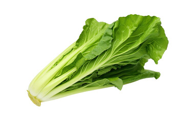 Close-up green vegetable isolated on transparent or white background PNG