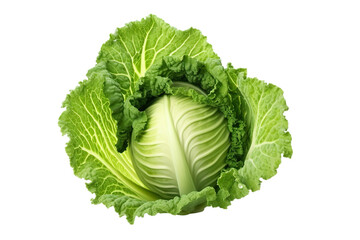 Close-up green vegetable isolated on transparent or white background PNG