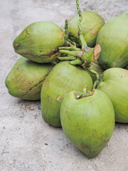 Coconut on concrete background in the morning..