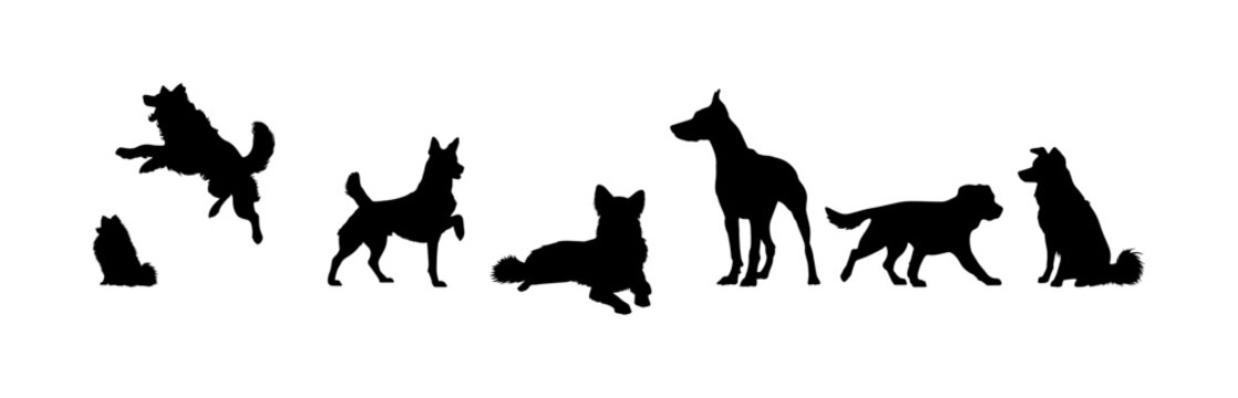 Vector illustration. Silhouettes of dogs of different breeds and sizes. Big set of animals.
