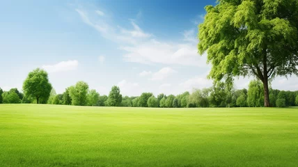 Wall murals Meadow, Swamp Green lawn and trees background with copyspace. Nature background concept. Generative AI