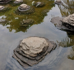 stones in the water