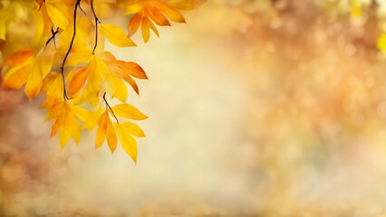 Obraz premium Autumn leaves decorate beautiful natural bokeh background, panorama wide format