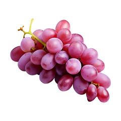 Fototapeta premium bunch of grapes