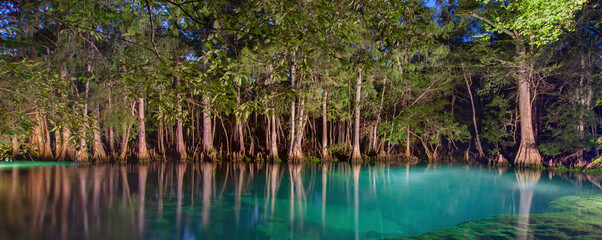 Manatee Springs, Florida in the Evening