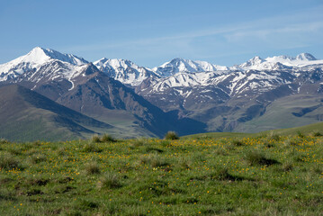 Alpine meadow on the background of snowy peaks. Kabardino-Balkaria