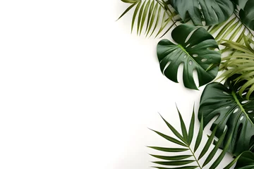 Photo sur Aluminium Monstera palm and monstera leaves on white background. Natural floral backdrop ai generated