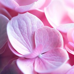 Close up of pink hydrangea