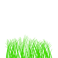 Fototapeta premium Illustration of Green Grass