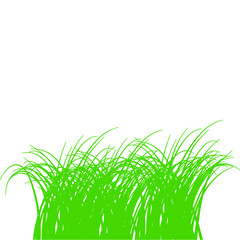 Illustration of Green Grass