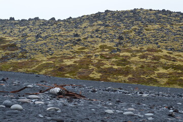 Islanda, penisola di Snaefellsnes,spiaggia del relitto