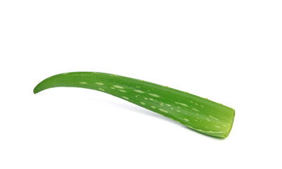 Aloe vera fresh leaf isolated on white background