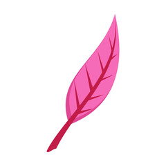 Autumn pink leaf flat vector. Cartoon drawing of floral autumnal element, pink leaf. Autumn decoration, nature concept.