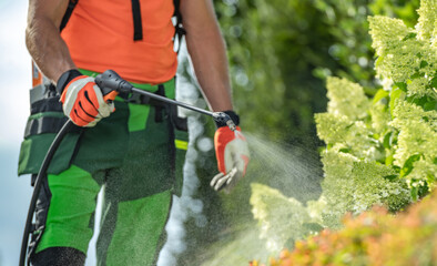 Insecticide and Fungicide on a Garden Plants