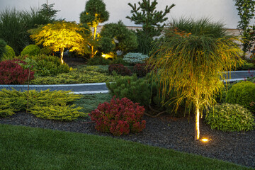 Garden Illuminated by Modern LED Lighting