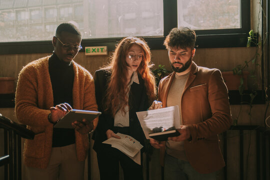 Young Gorgeous Ginger Female Person Helping Her Male Colleague With His Daily Tasks At Work While Their Black Male Colleague Is Working On The Tablet