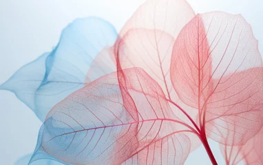 Rolgordijnen Blätter transparent © Fatih