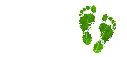 Green energy concept. Carbon footprint symbol made of green leaf on white background.