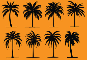Coconut , palm tree vector