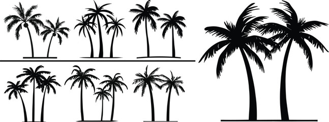 Palm , coconut tree vector set