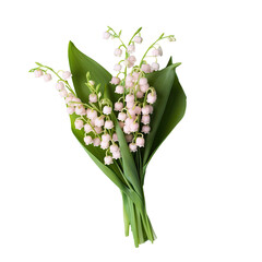 Selective focus on a transparent background with lilies of the valley a spring floral arrangement - obrazy, fototapety, plakaty