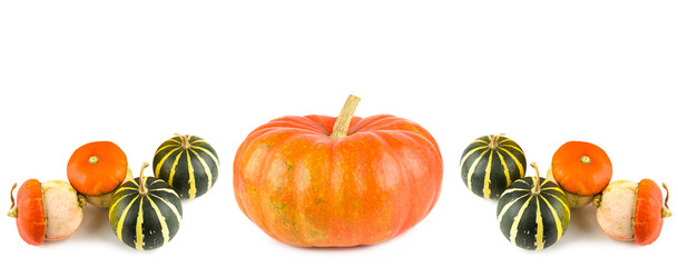 Pumpkins isolated on white. Collage. Free space for text. Wide photo.