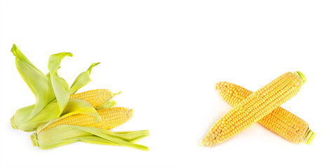 Corn cobs isolated on white . Collage. Free space for text. Wide photo.