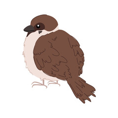 An illustration of a cartoon style house sparrow.