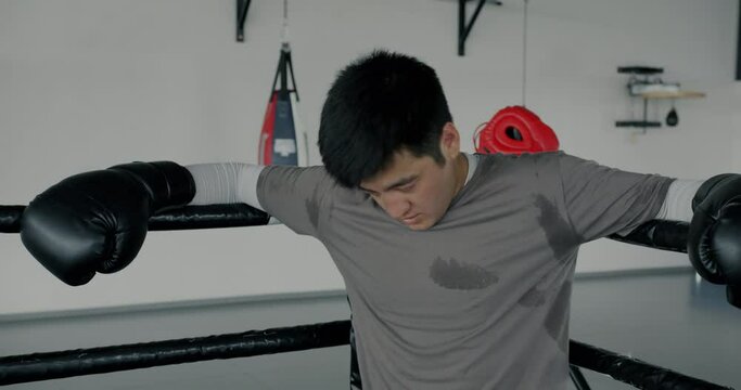 Portrait of tired and sweaty boxer resting in corner wiping face with boxing glove standing in ring alone. Martial arts competition and people concept.