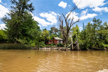 Boat tour on the Parana Delta, Tigre, Buenos Aires, Argentina. Palm trees, construction site of...