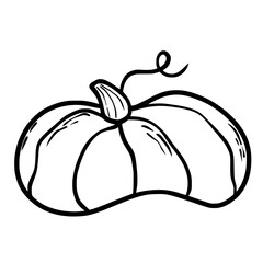 Pumpkin. Doodle. Hand drawing. Vector illustration in modern style. Festive pumpkin. Autumn vegetable.