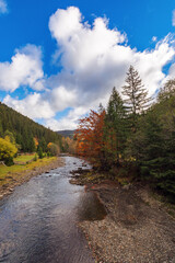 Fototapeta na wymiar river with rocky shore and trees. beautiful nature landscape in mountainous rural area. colorful scenery in fall season