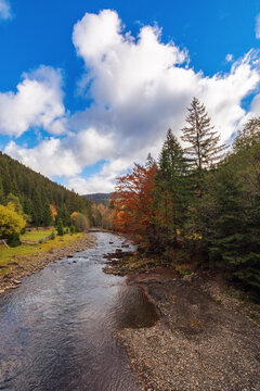 river with rocky shore and trees. beautiful nature landscape in mountainous rural area. colorful scenery in fall season