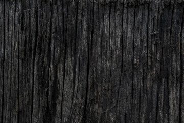 Natural wood grain texture background.