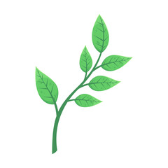 Autumn green leaves flat illustration. Cartoon drawing of floral autumnal element, green leaves, branch. Autumn decoration, nature concept.