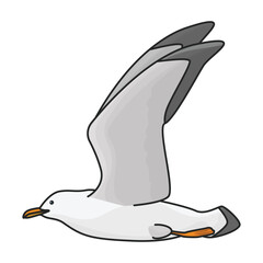 Bird gull vector icon.Color vector icon isolated on white background bird gull.