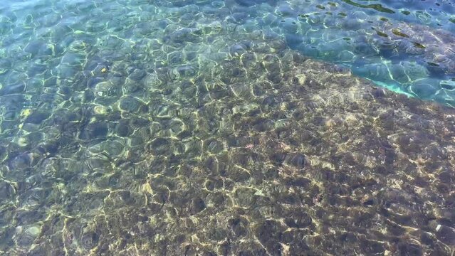 sea transparent water
