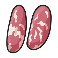 Bean vector icon.Color vector icon isolated on white background of bean.