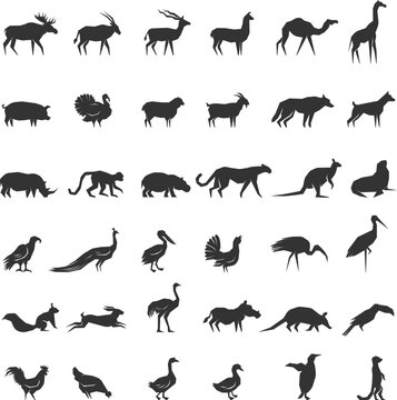 Animals. Different silhouettes of stylized wild and domestic monochrome animals recent vector pictures