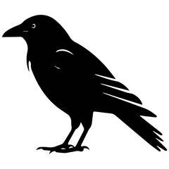 Fototapeta premium raven silhouette Flat Icon vector illustration Clipart