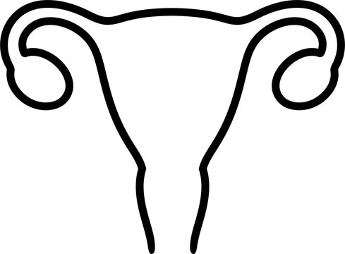 black outline uterus anatomy clip art preview