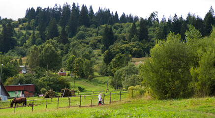 autumn forest high in the mountains