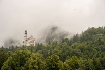 Schloss Neuschwanstein zwischen den Bäumen im Nebel