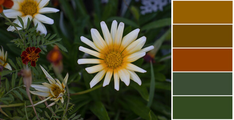Beautiful flowers swatch color palette
