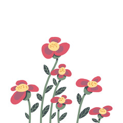 colorful flowers on white background