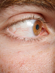 Obraz premium eyes close-up detaillooking right 